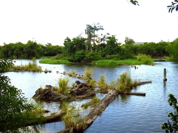 羅東林業文化園區:品嚐完林場肉焿來去充滿芬多精的森林鐵道散步嘍【宜蘭/羅東林業文化園區】