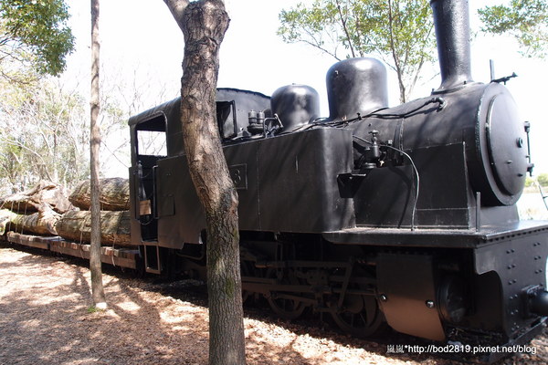 羅東林業文化園區：【宜蘭羅東】羅東林業文化園區－都市中的小清幽，免入園費值得來逛逛