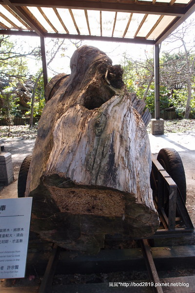 羅東林業文化園區：【宜蘭羅東】羅東林業文化園區－都市中的小清幽，免入園費值得來逛逛