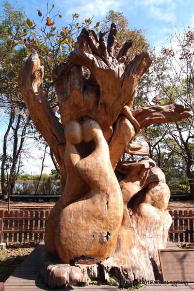 羅東林業文化園區：【宜蘭羅東】羅東林業文化園區－都市中的小清幽，免入園費值得來逛逛