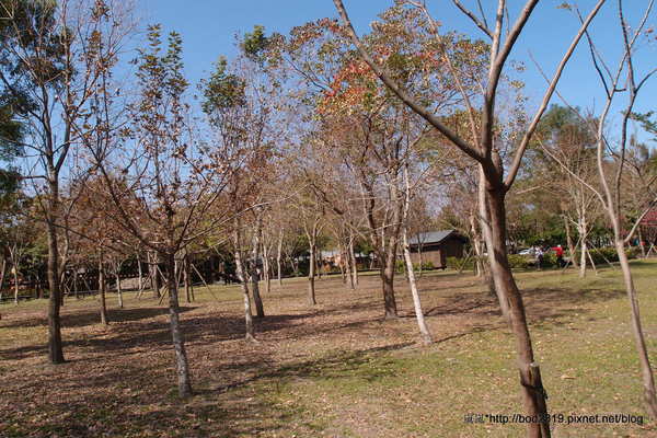 羅東林業文化園區：【宜蘭羅東】羅東林業文化園區－都市中的小清幽，免入園費值得來逛逛