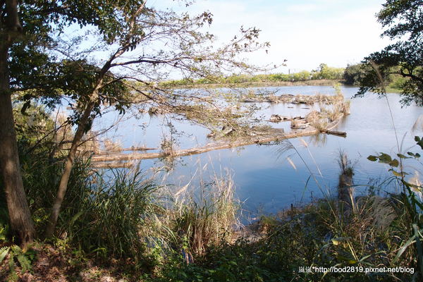 羅東林業文化園區：【宜蘭羅東】羅東林業文化園區－都市中的小清幽，免入園費值得來逛逛