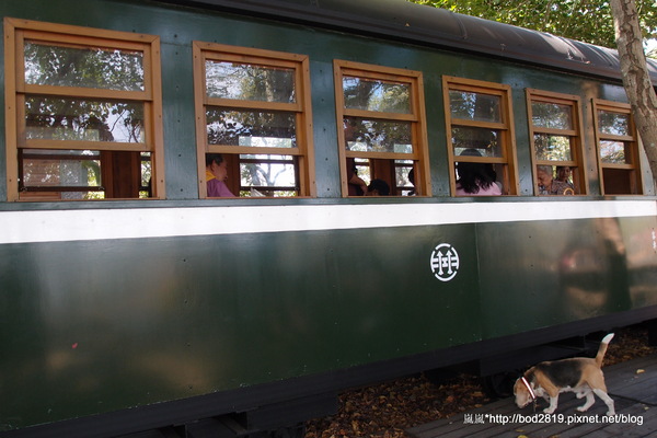 羅東林業文化園區：【宜蘭羅東】羅東林業文化園區－都市中的小清幽，免入園費值得來逛逛