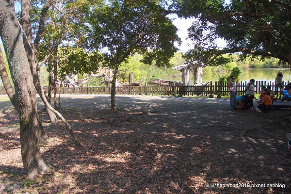 羅東林業文化園區：【宜蘭羅東】羅東林業文化園區－都市中的小清幽，免入園費值得來逛逛