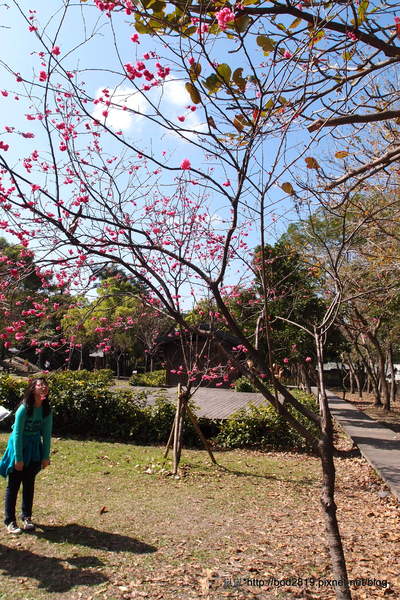 羅東林業文化園區：【宜蘭羅東】羅東林業文化園區－都市中的小清幽，免入園費值得來逛逛