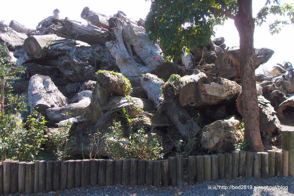 羅東林業文化園區：【宜蘭羅東】羅東林業文化園區－都市中的小清幽，免入園費值得來逛逛