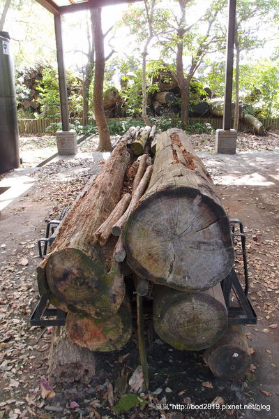 羅東林業文化園區：【宜蘭羅東】羅東林業文化園區－都市中的小清幽，免入園費值得來逛逛