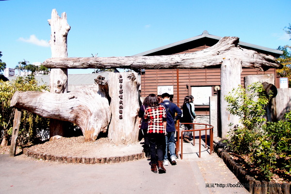 羅東林業文化園區：【宜蘭羅東】羅東林業文化園區－都市中的小清幽，免入園費值得來逛逛