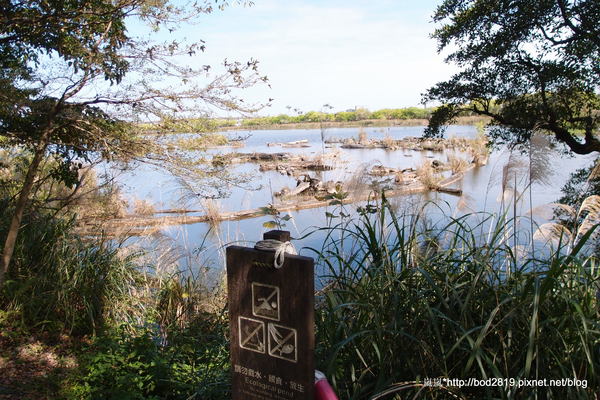 羅東林業文化園區：【宜蘭羅東】羅東林業文化園區－都市中的小清幽，免入園費值得來逛逛