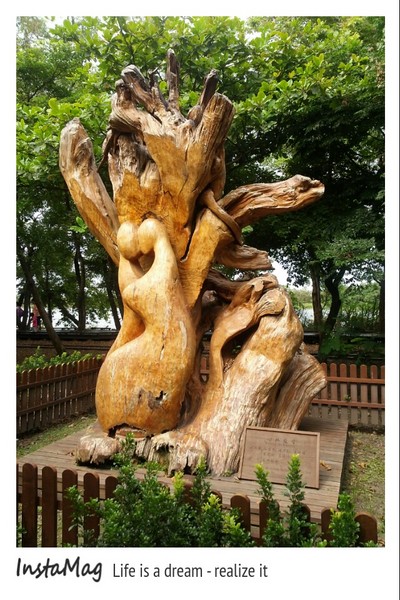 羅東林業文化園區：羅東林業文化園區