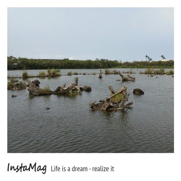 羅東林業文化園區：羅東林業文化園區