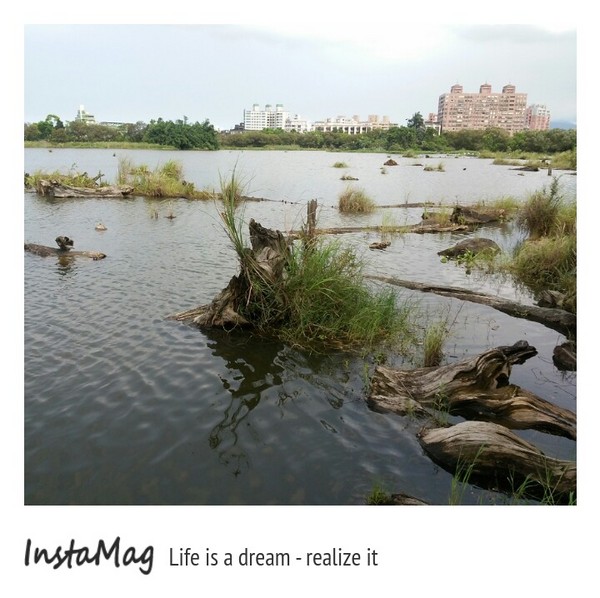 羅東林業文化園區：羅東林業文化園區