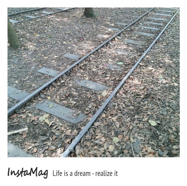 羅東林業文化園區：羅東林業文化園區