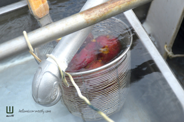 丹堤金崙溫泉會館： 台東｜金崙丹堤溫泉 台灣秘密好湯 媲美日本北海道的溫泉之鄉