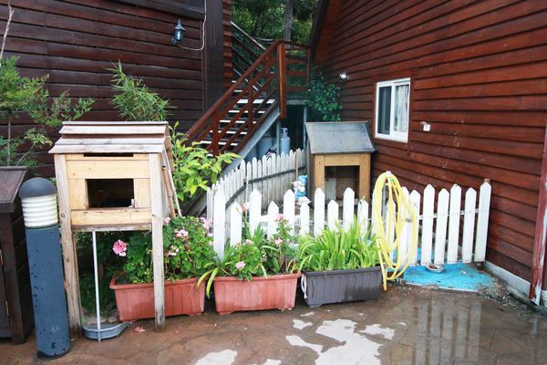 清境農場-峰情人文民宿-雲霧之上環山繚繞