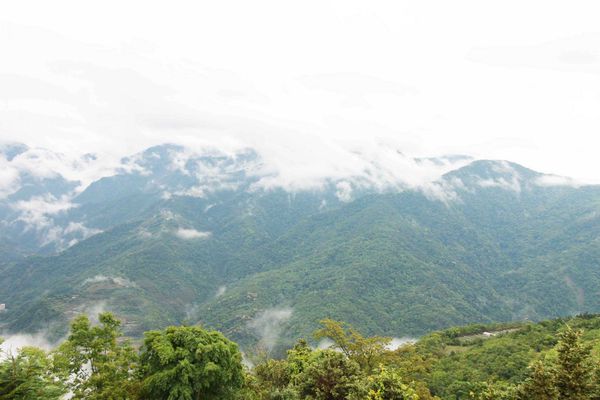 清境農場-峰情人文民宿-雲霧之上環山繚繞