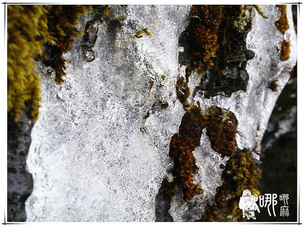 清境農場楓葉山莊：楓葉山莊