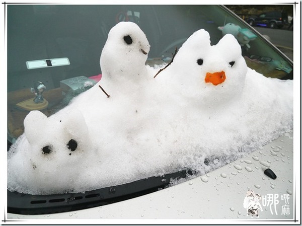 清境農場楓葉山莊：楓葉山莊