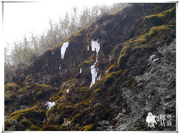 清境農場楓葉山莊：楓葉山莊