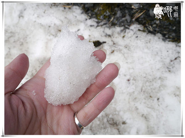 清境農場楓葉山莊：楓葉山莊
