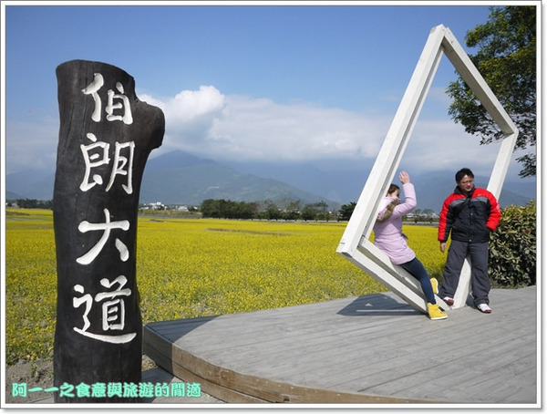 台東伯朗大道：台東池上 金城武大道&伯朗大道 被油菜花環抱～阿一一寒冬台東之旅