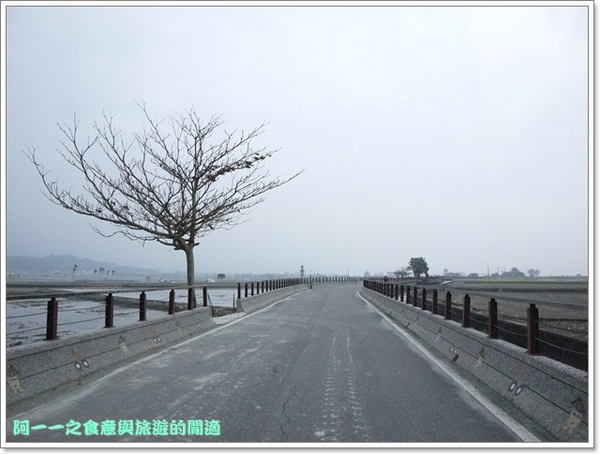 台東伯朗大道：台東池上 金城武大道&伯朗大道 被油菜花環抱～阿一一寒冬台東之旅