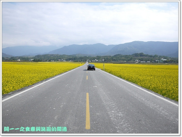台東伯朗大道：台東池上 金城武大道&伯朗大道 被油菜花環抱～阿一一寒冬台東之旅