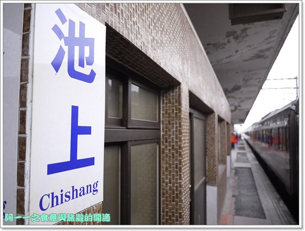 台東伯朗大道：台東池上 金城武大道&伯朗大道 被油菜花環抱～阿一一寒冬台東之旅