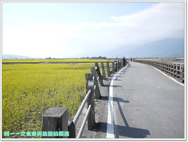 台東伯朗大道：台東池上 金城武大道&伯朗大道 被油菜花環抱～阿一一寒冬台東之旅