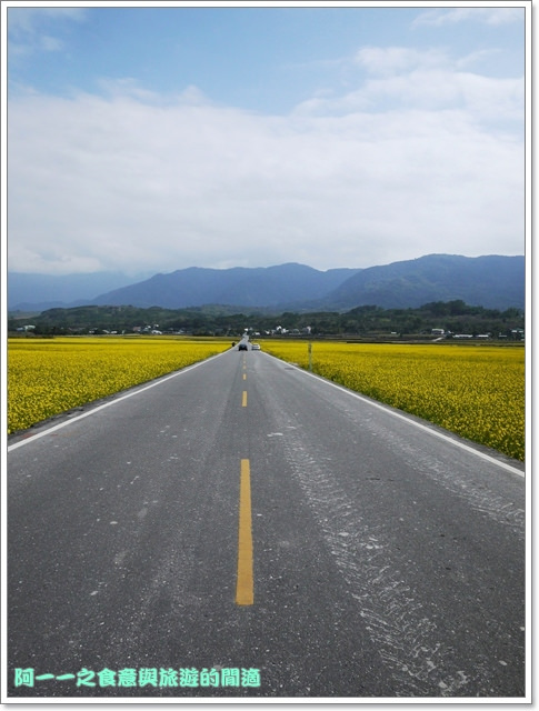 台東伯朗大道：台東池上 金城武大道&伯朗大道 被油菜花環抱～阿一一寒冬台東之旅