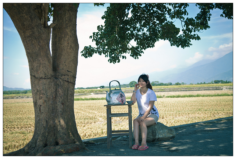 伯朗大道+金城武樹