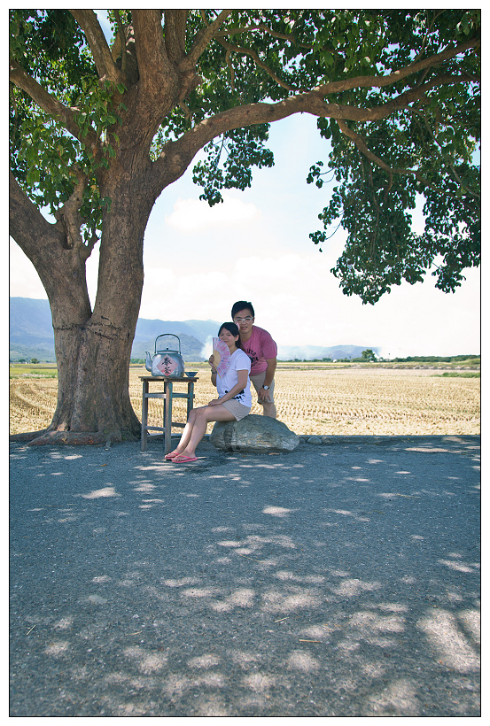 伯朗大道+金城武樹