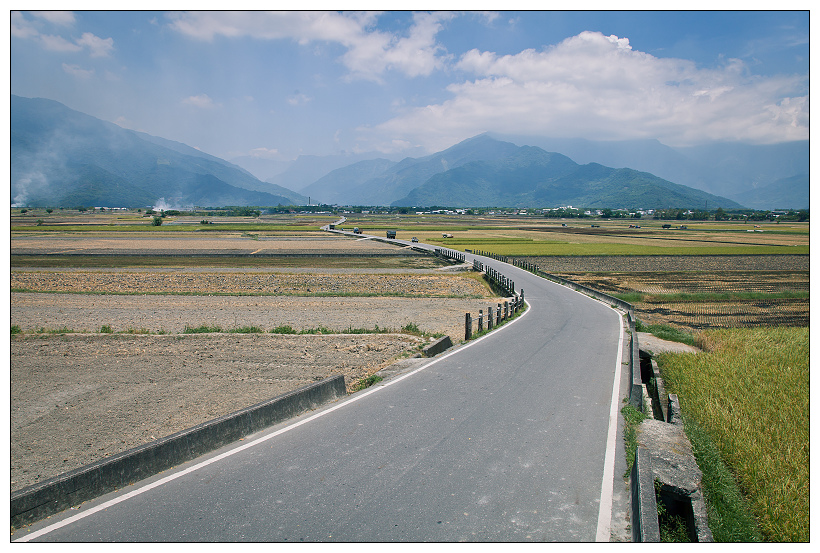 伯朗大道+金城武樹