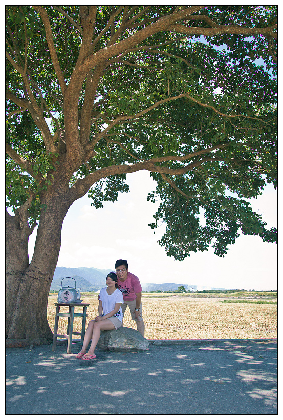 伯朗大道+金城武樹