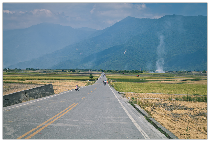伯朗大道+金城武樹