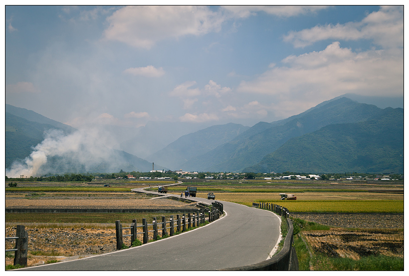 伯朗大道+金城武樹