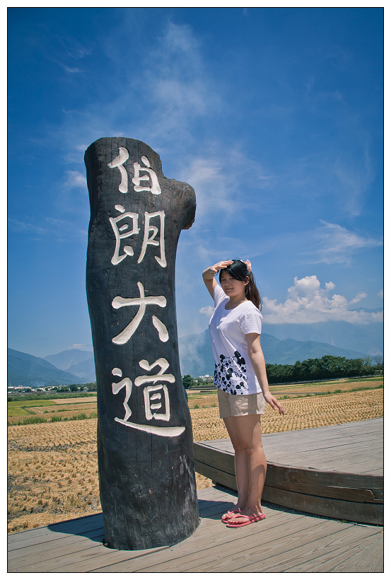 伯朗大道+金城武樹