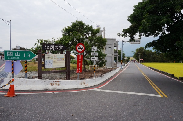 台東伯朗大道：[台東池上] 金黃稻米豐收之伯朗大道