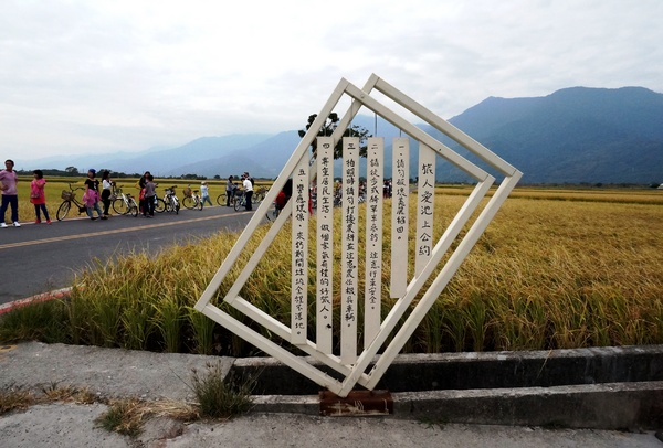 台東伯朗大道：[台東池上] 金黃稻米豐收之伯朗大道