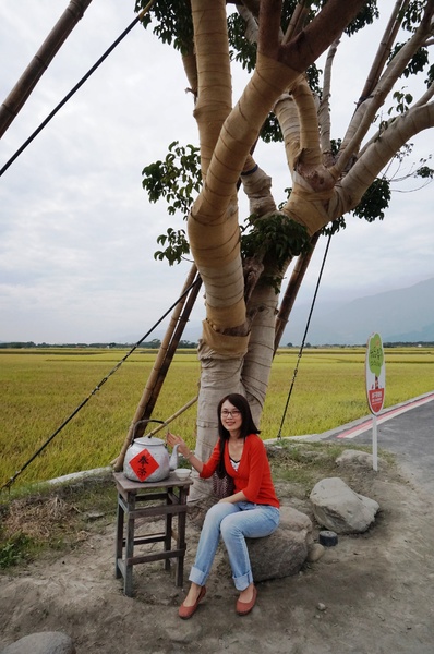 台東伯朗大道：[台東池上] 金黃稻米豐收之伯朗大道
