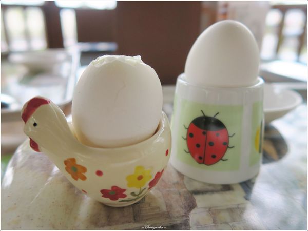 羅騰堡莊園：[民宿渡假去]宜蘭 羅騰堡莊園~免出國入住落羽松圍繞德式莊園城堡(國內旅遊住宿優惠補助適用)