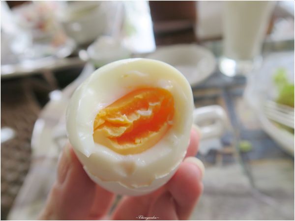 羅騰堡莊園：[民宿渡假去]宜蘭 羅騰堡莊園~免出國入住落羽松圍繞德式莊園城堡(國內旅遊住宿優惠補助適用)