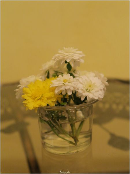 羅騰堡莊園：[民宿渡假去]宜蘭 羅騰堡莊園~免出國入住落羽松圍繞德式莊園城堡(國內旅遊住宿優惠補助適用)