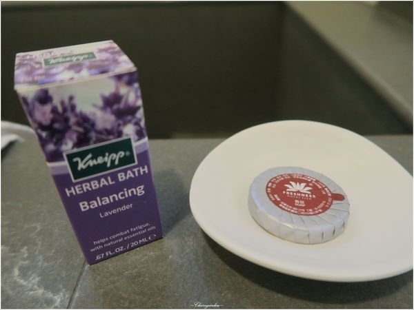 羅騰堡莊園：[民宿渡假去]宜蘭 羅騰堡莊園~免出國入住落羽松圍繞德式莊園城堡(國內旅遊住宿優惠補助適用)