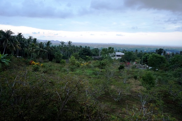 原始部落山地美食：[台東卑南] 原始部落 - 烤雞烤魚+原民舞蹈表演