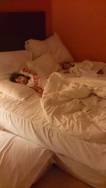 1003404_10202789371908251_8760593338882416975_n