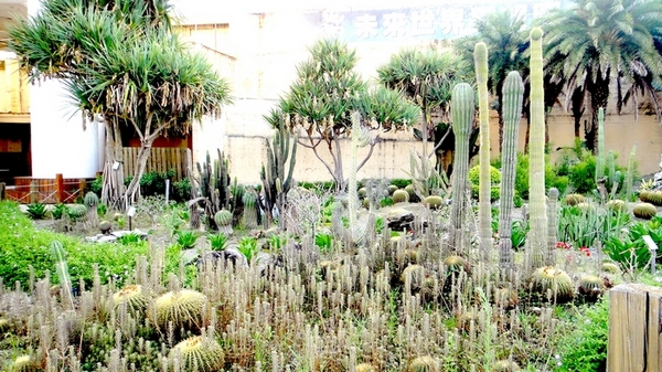 麗寶樂園:【台中遊記】超划算!麗寶樂園月光票雙人同行只要299元!