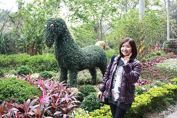 十八尖山：春遊賞花。新竹十八尖山&世博展覽館