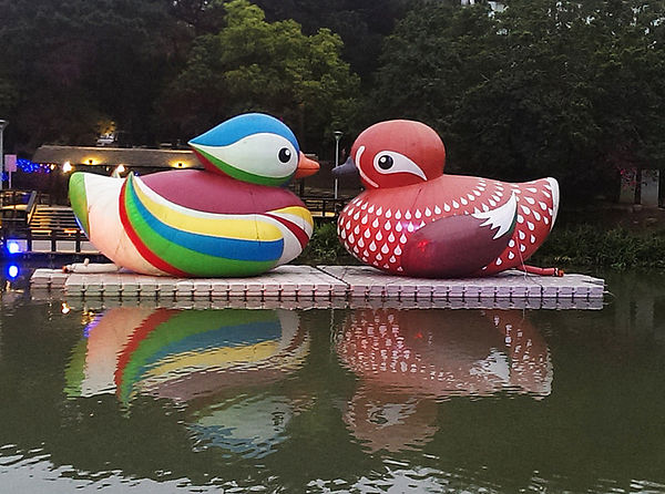 十八尖山：春遊賞花。新竹十八尖山&世博展覽館