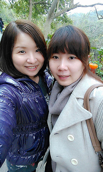 十八尖山：春遊賞花。新竹十八尖山&世博展覽館